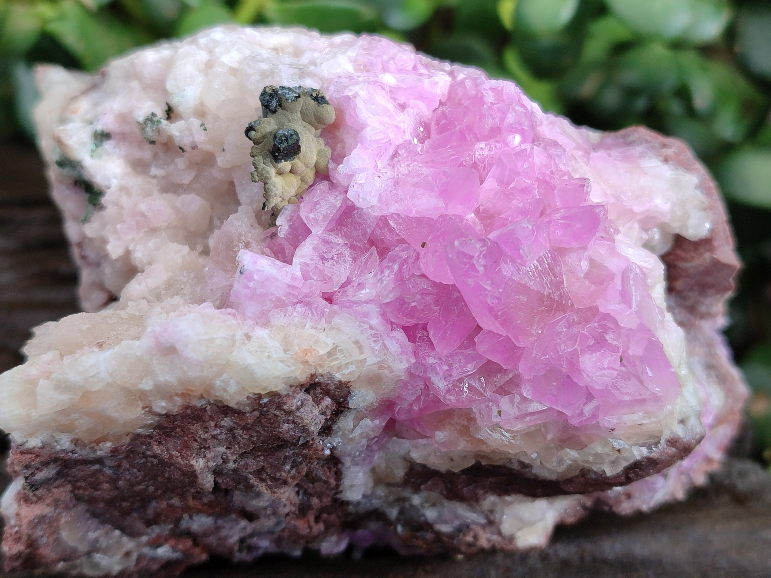 Natural Rare Rhodocalcite Specimens x 2 From Congo - Toprock Gemstones and Minerals 
