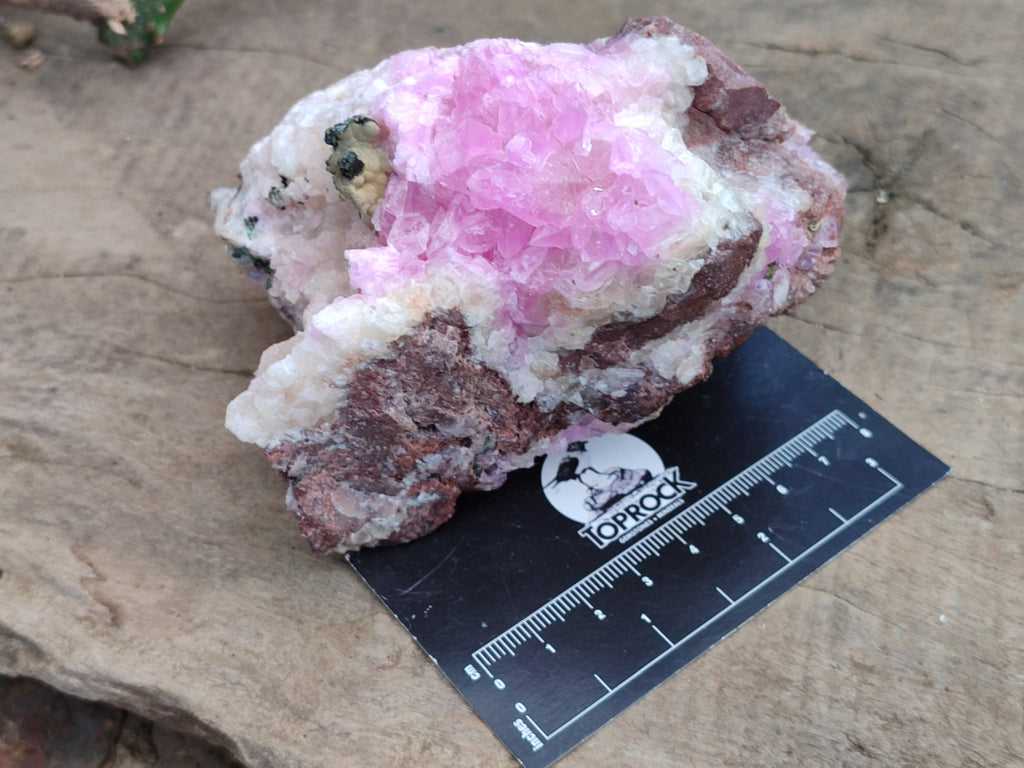 Natural Rare Rhodocalcite Specimens x 2 From Congo - Toprock Gemstones and Minerals 