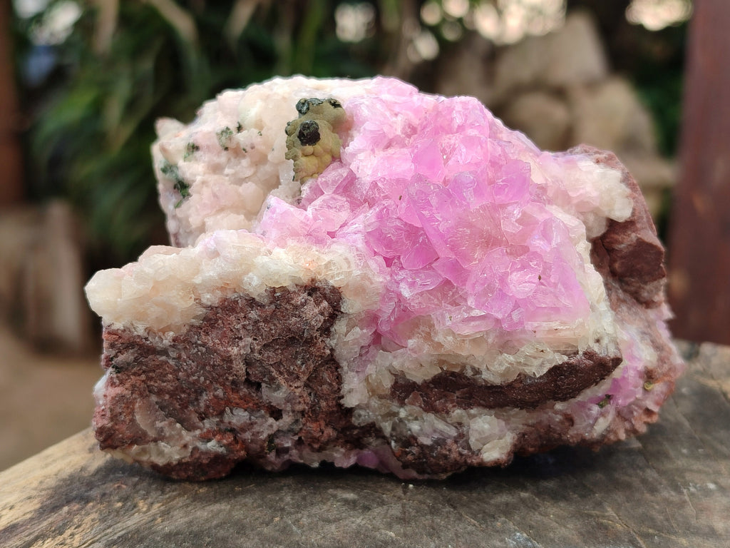 Natural Rare Rhodocalcite Specimens x 2 From Congo - Toprock Gemstones and Minerals 