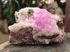 Natural Rare Rhodocalcite Specimens x 2 From Congo - Toprock Gemstones and Minerals 