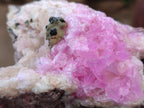 Natural Rare Rhodocalcite Specimens x 2 From Congo - Toprock Gemstones and Minerals 