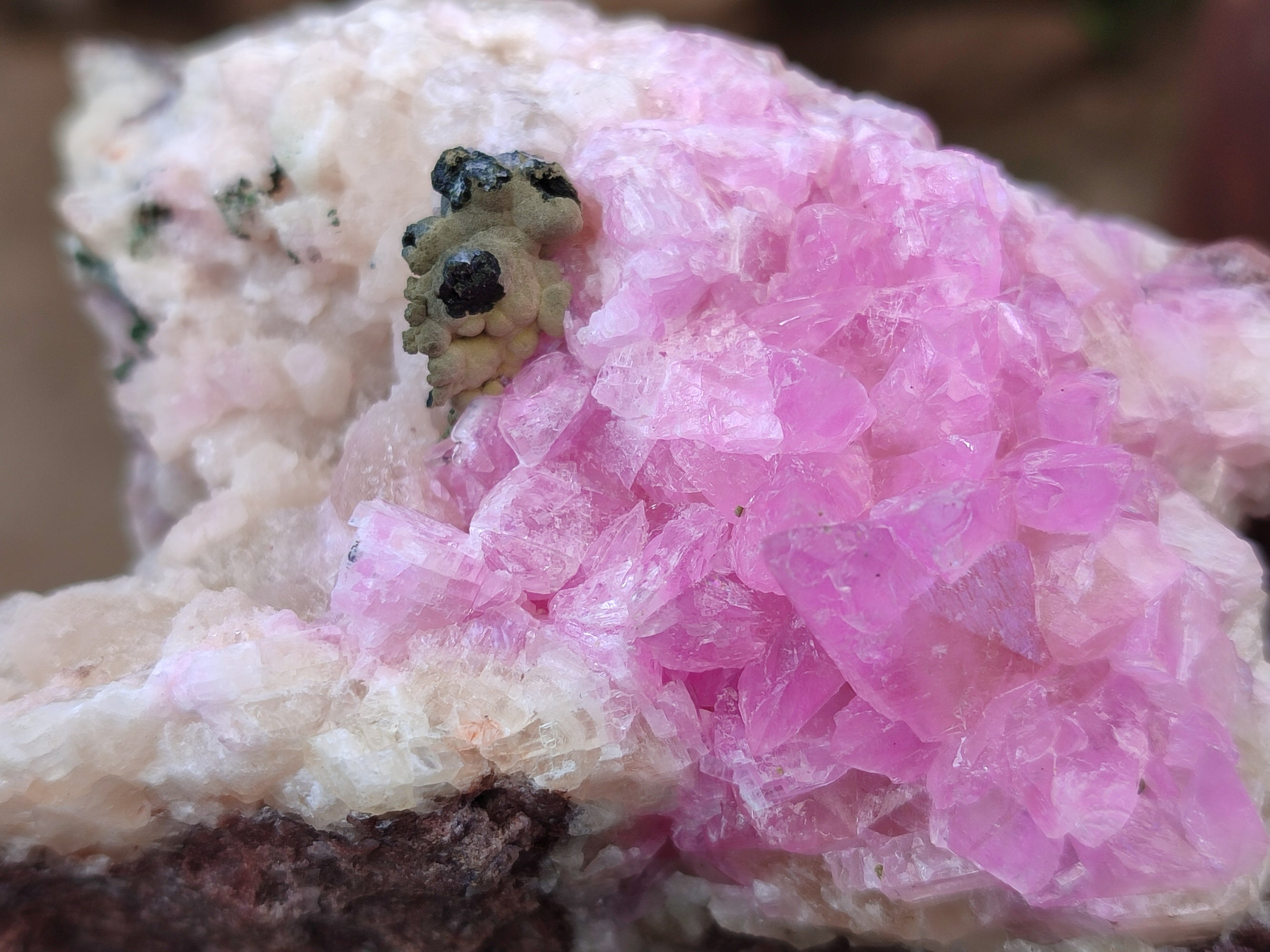 Natural Rare Rhodocalcite Specimens x 2 From Congo - Toprock Gemstones and Minerals 