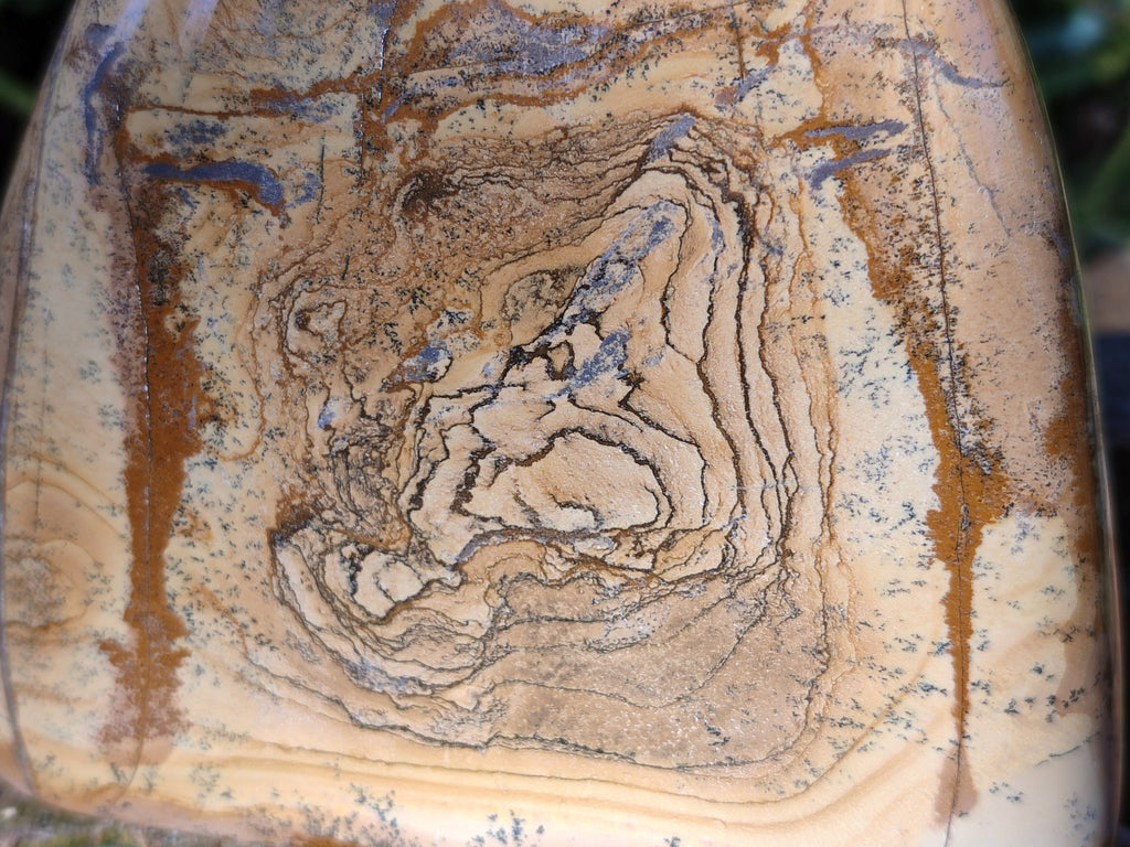 Polished Picture Stone Jasper Standing Free Forms x 2 From Ais-Ais, Namibia - Toprock Gemstones and Minerals 