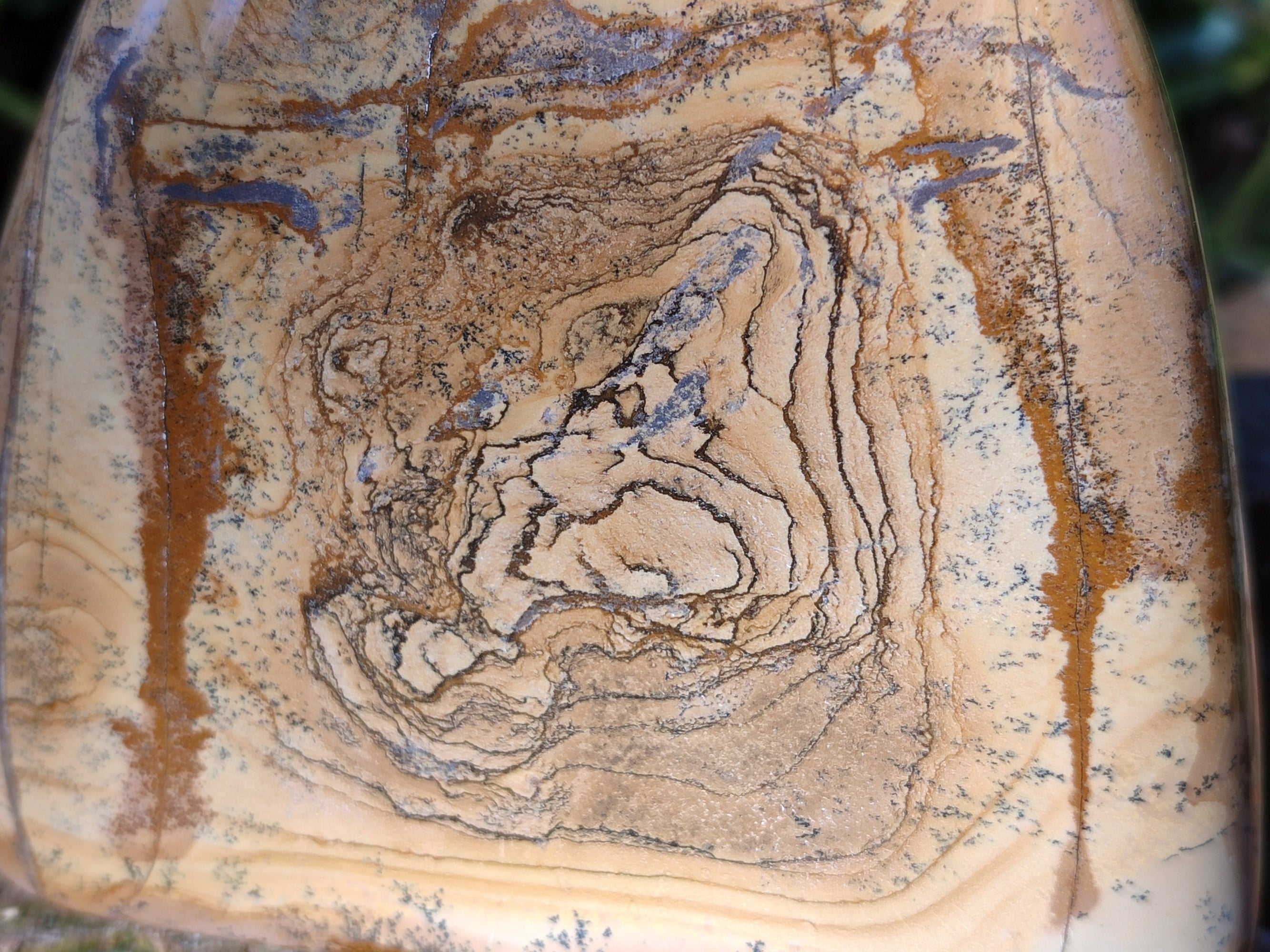 Polished Picture Stone Jasper Standing Free Forms x 2 From Ais-Ais, Namibia - Toprock Gemstones and Minerals 