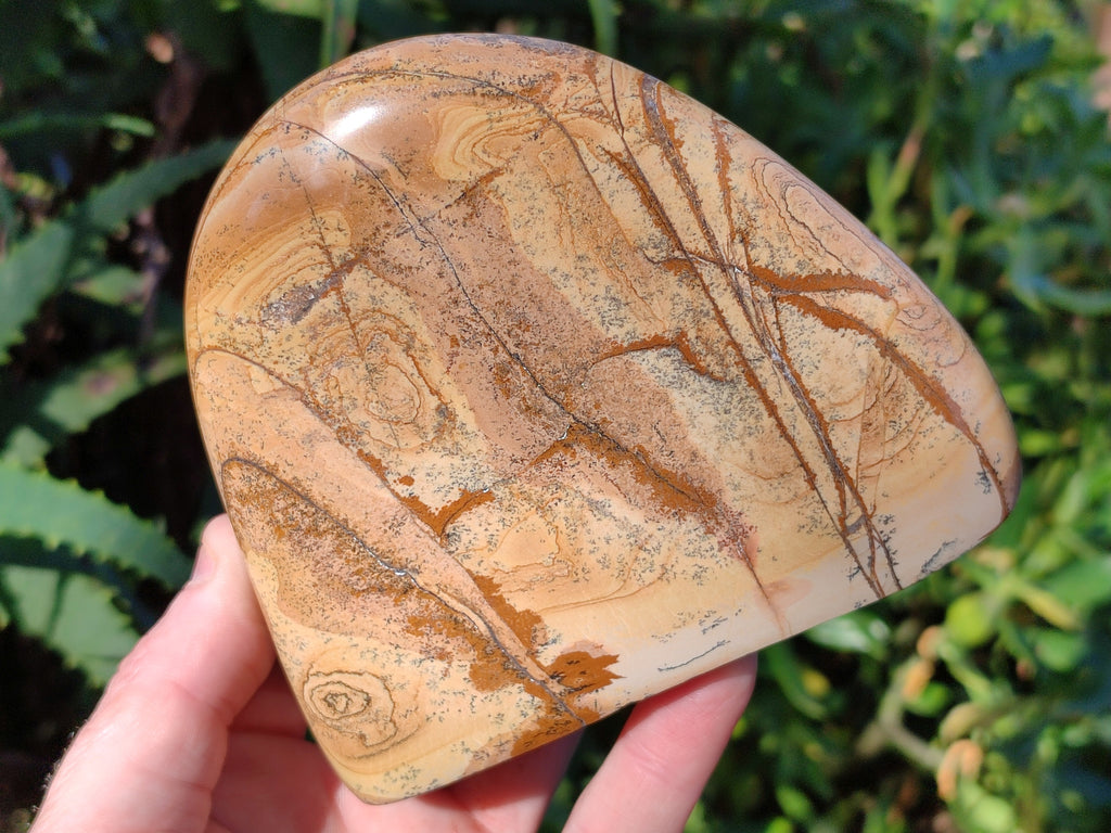 Polished Picture Stone Jasper Standing Free Forms x 2 From Ais-Ais, Namibia - Toprock Gemstones and Minerals 