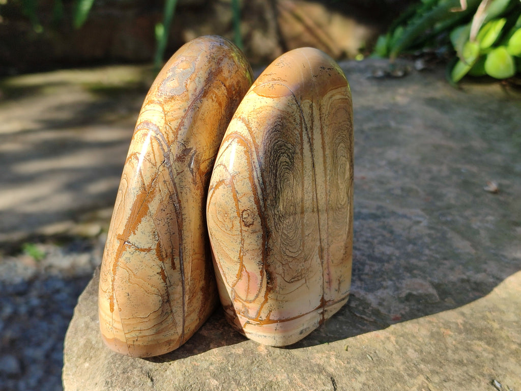 Polished Picture Stone Jasper Standing Free Forms x 2 From Ais-Ais, Namibia - Toprock Gemstones and Minerals 