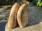 Polished Picture Stone Jasper Standing Free Forms x 2 From Ais-Ais, Namibia - Toprock Gemstones and Minerals 