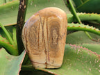 Polished Picture Stone Jasper Standing Free Forms x 2 From Ais-Ais, Namibia - Toprock Gemstones and Minerals 
