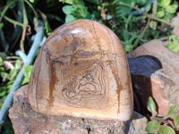 Polished Picture Stone Jasper Standing Free Forms x 2 From Ais-Ais, Namibia - Toprock Gemstones and Minerals 