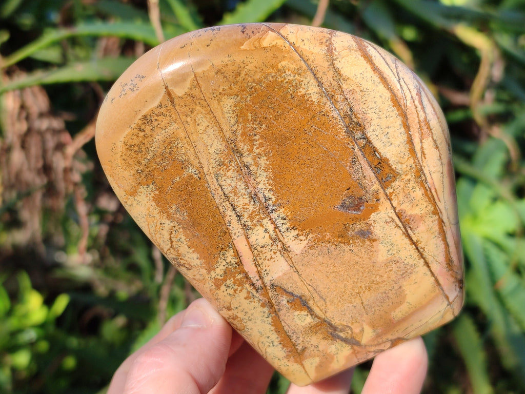Polished Picture Stone Jasper Standing Free Forms x 2 From Ais-Ais, Namibia - Toprock Gemstones and Minerals 
