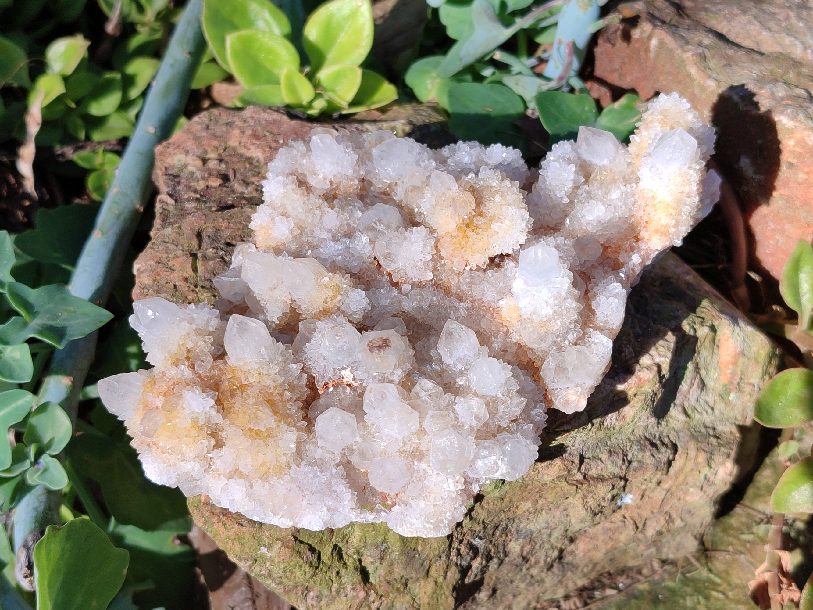 Natural Spirit Quartz Clusters x 6 From Boekenhouthoek, South Africa - Toprock Gemstones and Minerals 