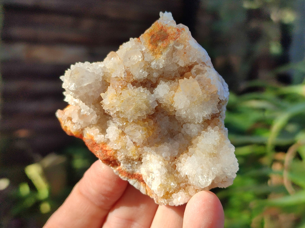 Natural Spirit Quartz Clusters x 6 From Boekenhouthoek, South Africa - Toprock Gemstones and Minerals 