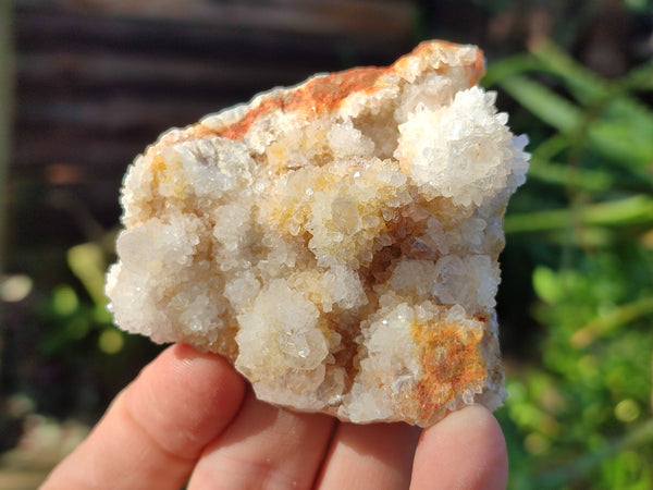 Natural Spirit Quartz Clusters x 6 From Boekenhouthoek, South Africa