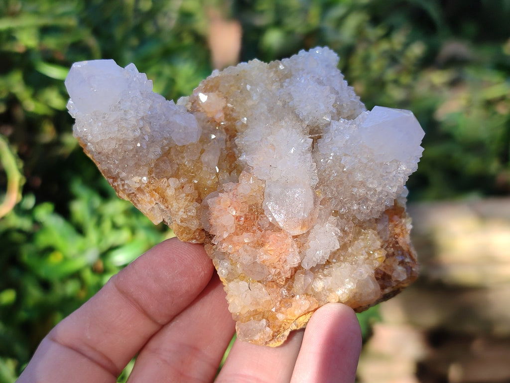 Natural Spirit Quartz Clusters x 6 From Boekenhouthoek, South Africa - Toprock Gemstones and Minerals 