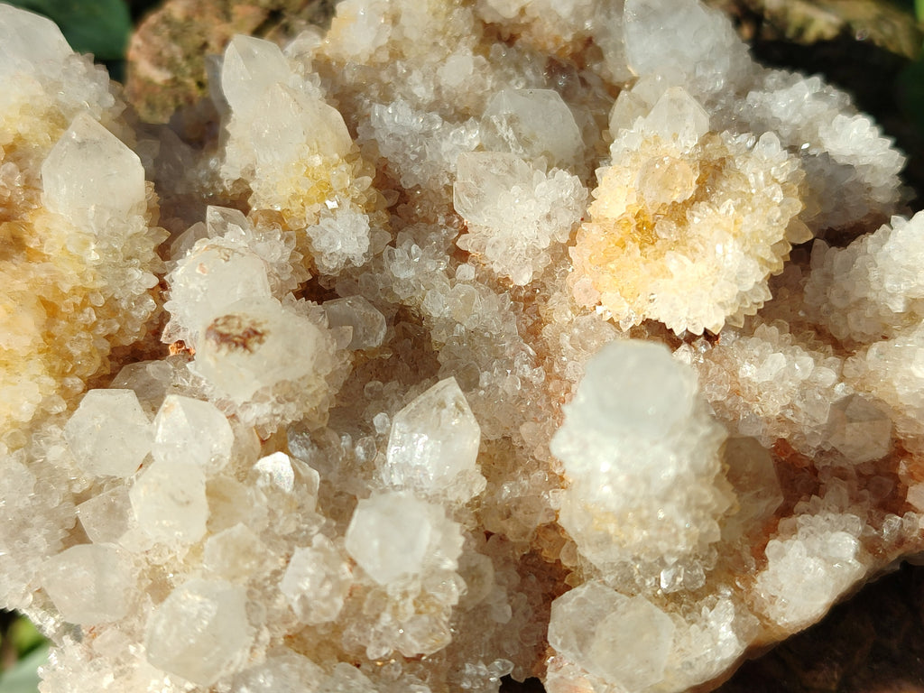 Natural Spirit Quartz Clusters x 6 From Boekenhouthoek, South Africa - Toprock Gemstones and Minerals 