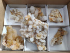 Natural Spirit Quartz Clusters x 6 From Boekenhouthoek, South Africa - Toprock Gemstones and Minerals 