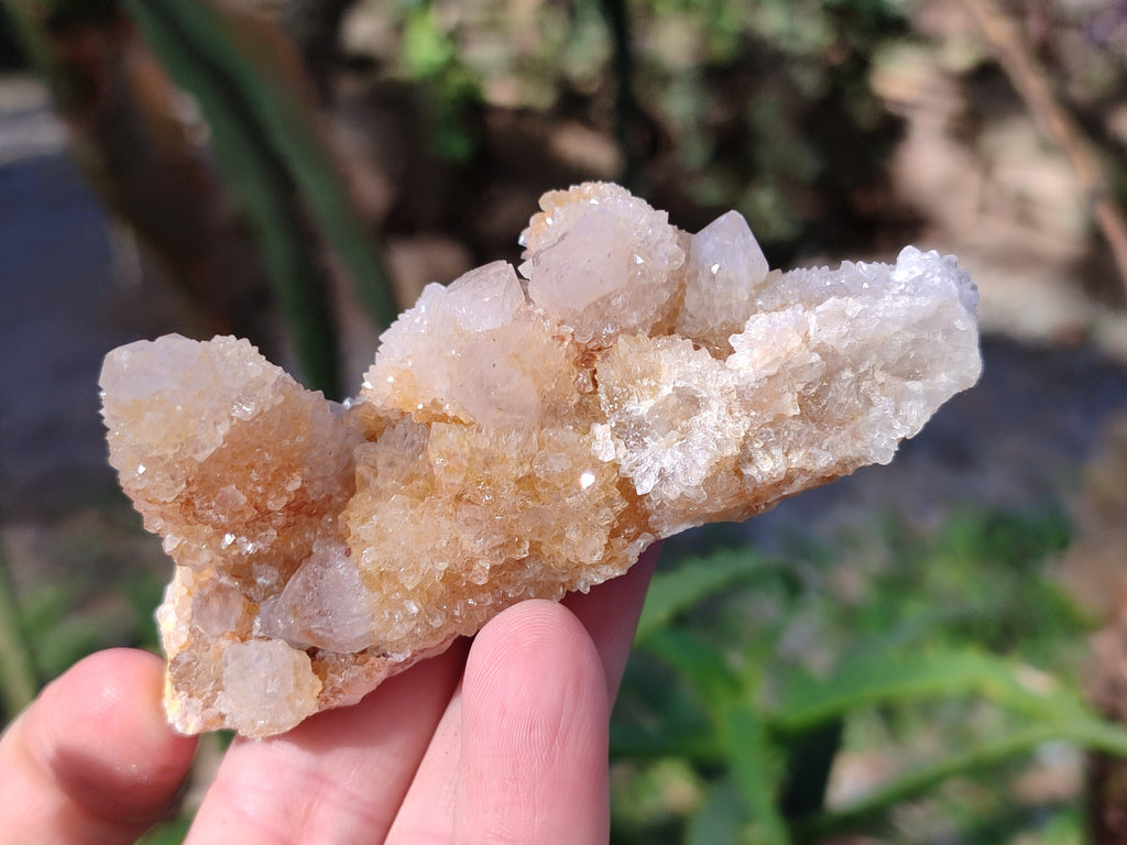 Natural Spirit Quartz Clusters x 6 From Boekenhouthoek, South Africa - Toprock Gemstones and Minerals 