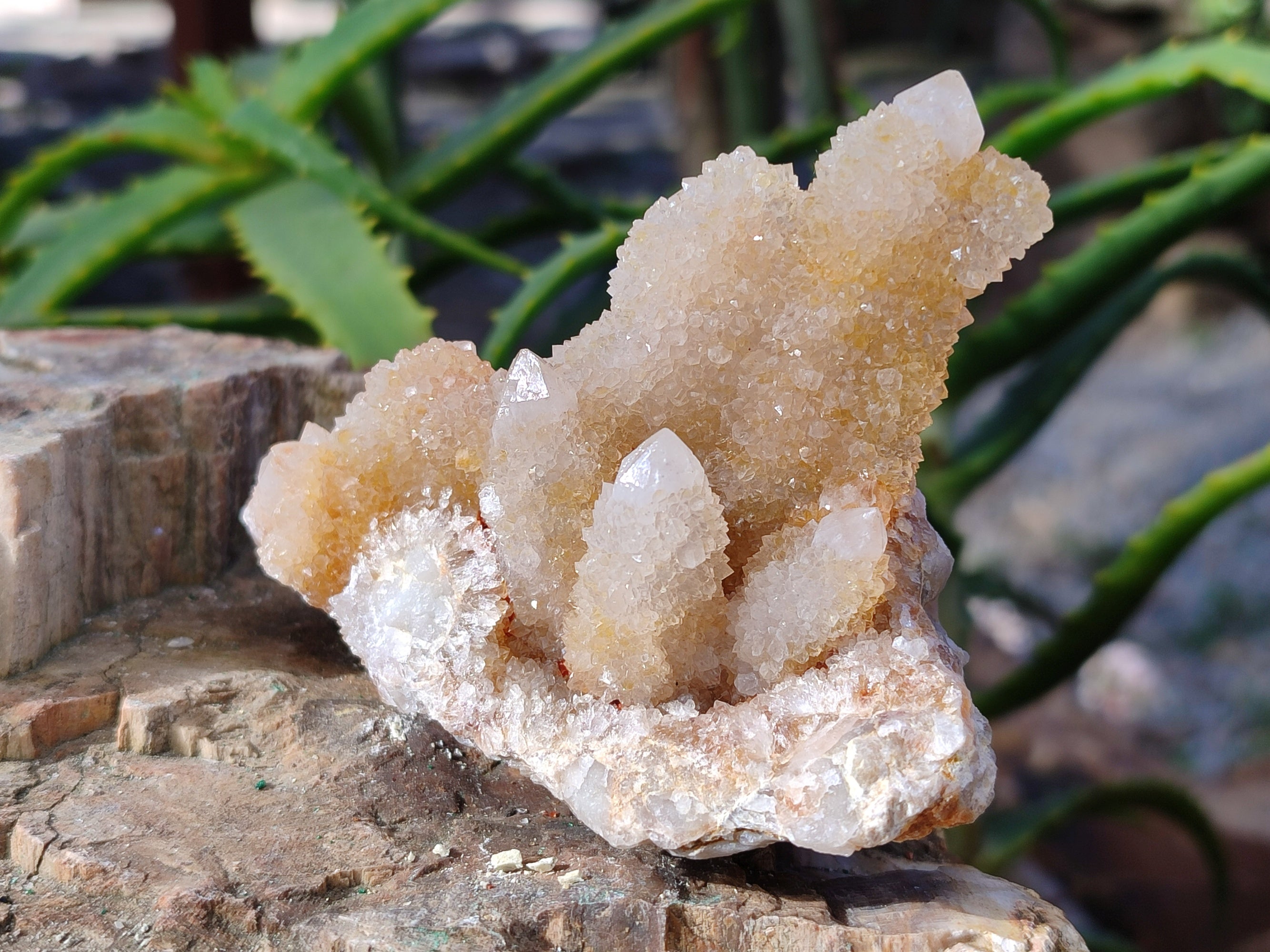 Natural Spirit Quartz Clusters x 6 From Boekenhouthoek, South Africa - Toprock Gemstones and Minerals 