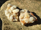 Natural Spirit Quartz Clusters x 6 From Boekenhouthoek, South Africa - Toprock Gemstones and Minerals 