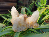 Natural Spirit Quartz Clusters x 6 From Boekenhouthoek, South Africa