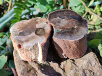 Polished Petrified Wood Branches x 4 From Gokwe, Zimbabwe - Toprock Gemstones and Minerals 
