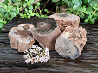 Polished Petrified Wood Branches x 4 From Gokwe, Zimbabwe - Toprock Gemstones and Minerals 