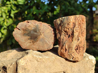 Polished Petrified Wood Branches x 4 From Gokwe, Zimbabwe - Toprock Gemstones and Minerals 