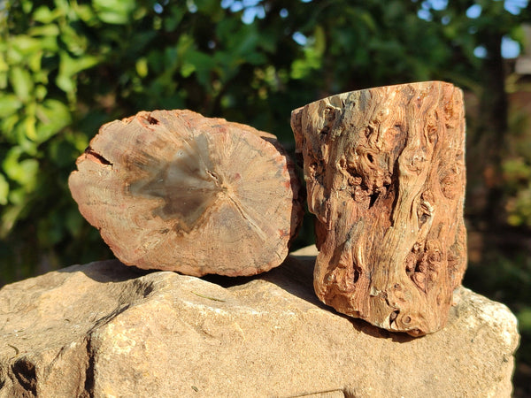 Polished Petrified Wood Branches x 4 From Gokwe, Zimbabwe