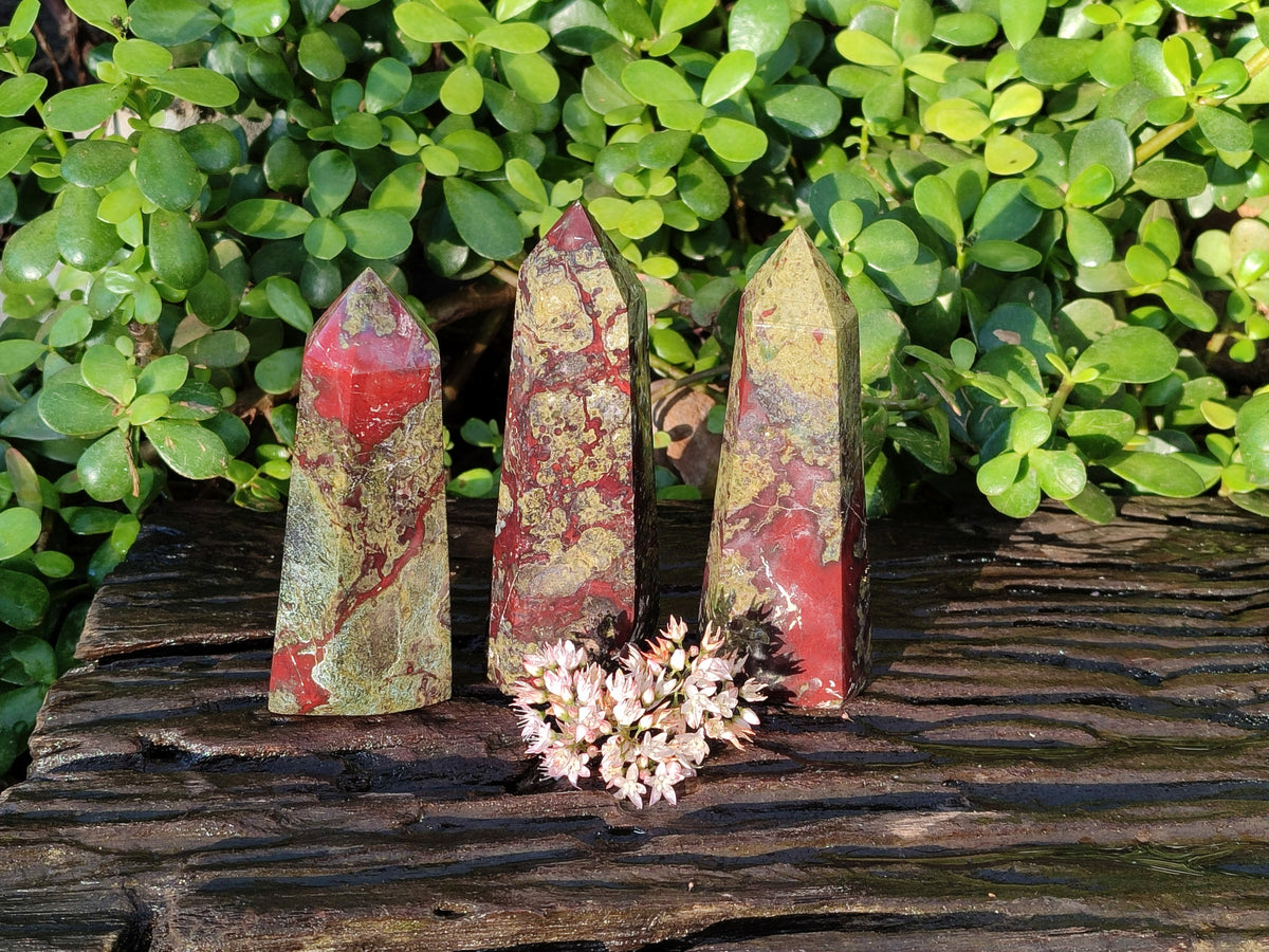 Polished Bloodstone Points x 3 From Swaziland - Toprock Gemstones and Minerals 