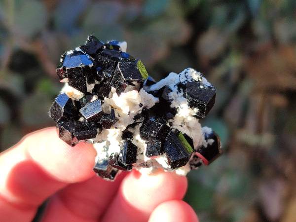 Natural Schorl Black Tourmaline Specimens x 35 From Erongo, Namibia