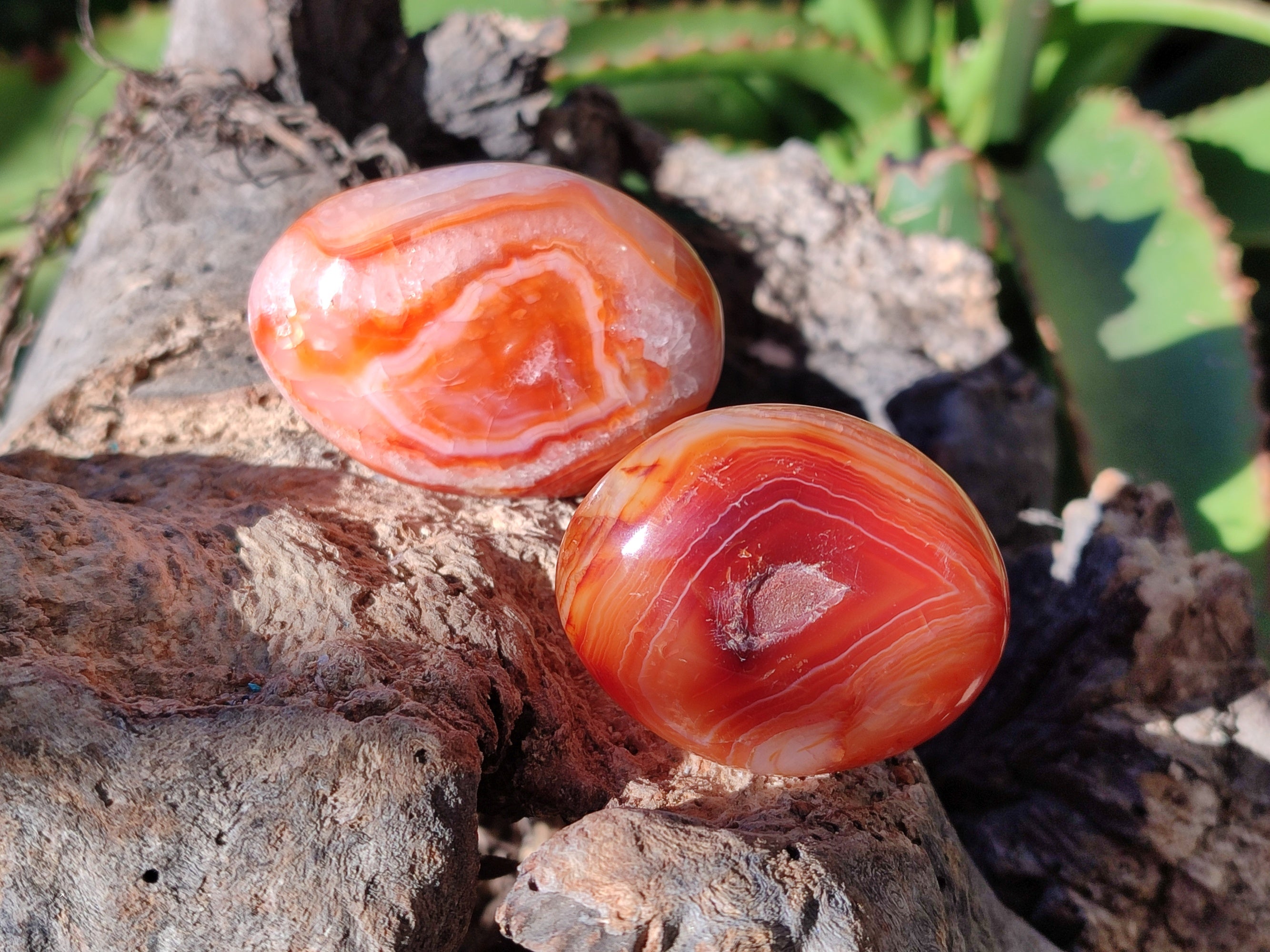 Polished Carnelian Palm Stones x 24 From Madagascar - Toprock Gemstones and Minerals 