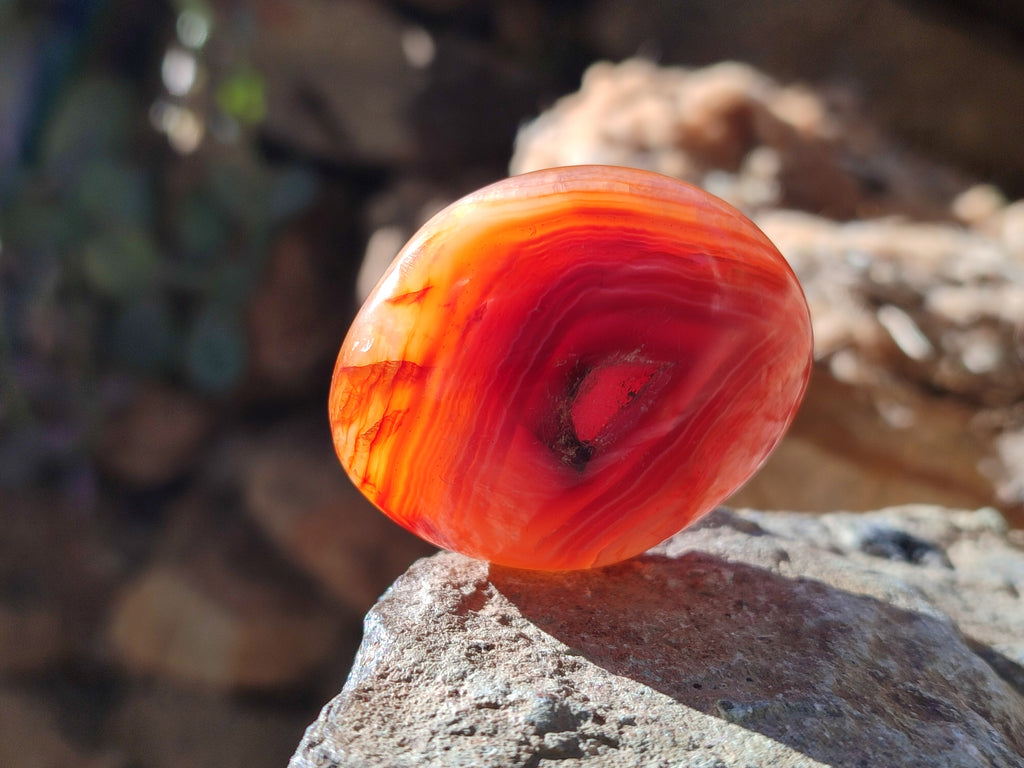 Polished Carnelian Palm Stones x 24 From Madagascar - Toprock Gemstones and Minerals 
