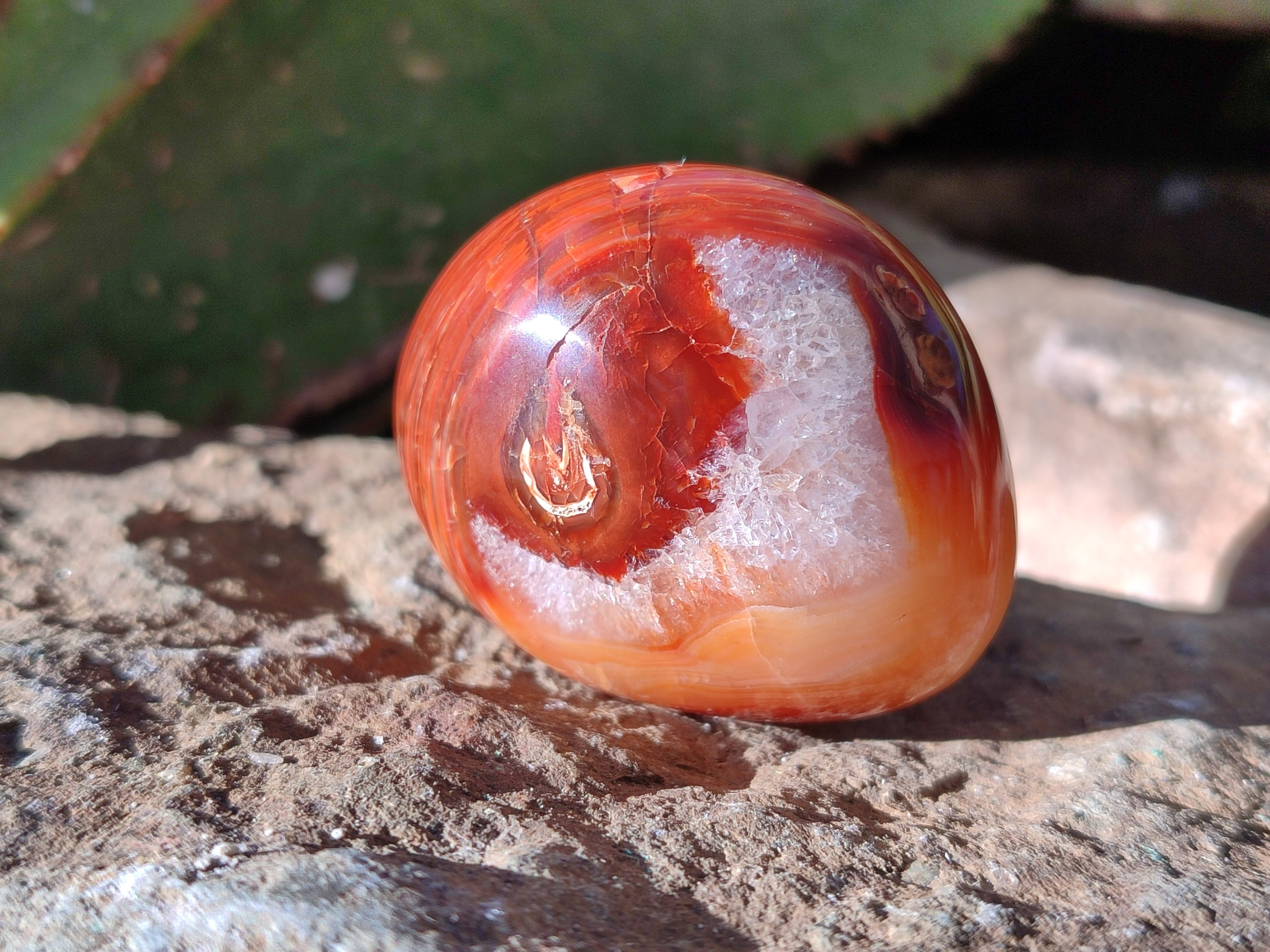 Polished Carnelian Palm Stones x 24 From Madagascar - Toprock Gemstones and Minerals 