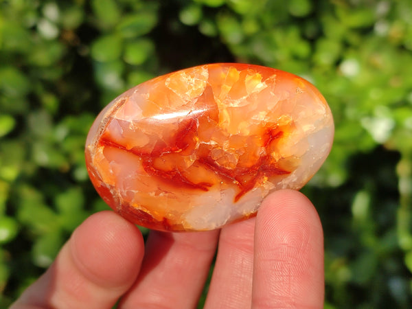Polished Carnelian Palm Stones x 24 From Madagascar
