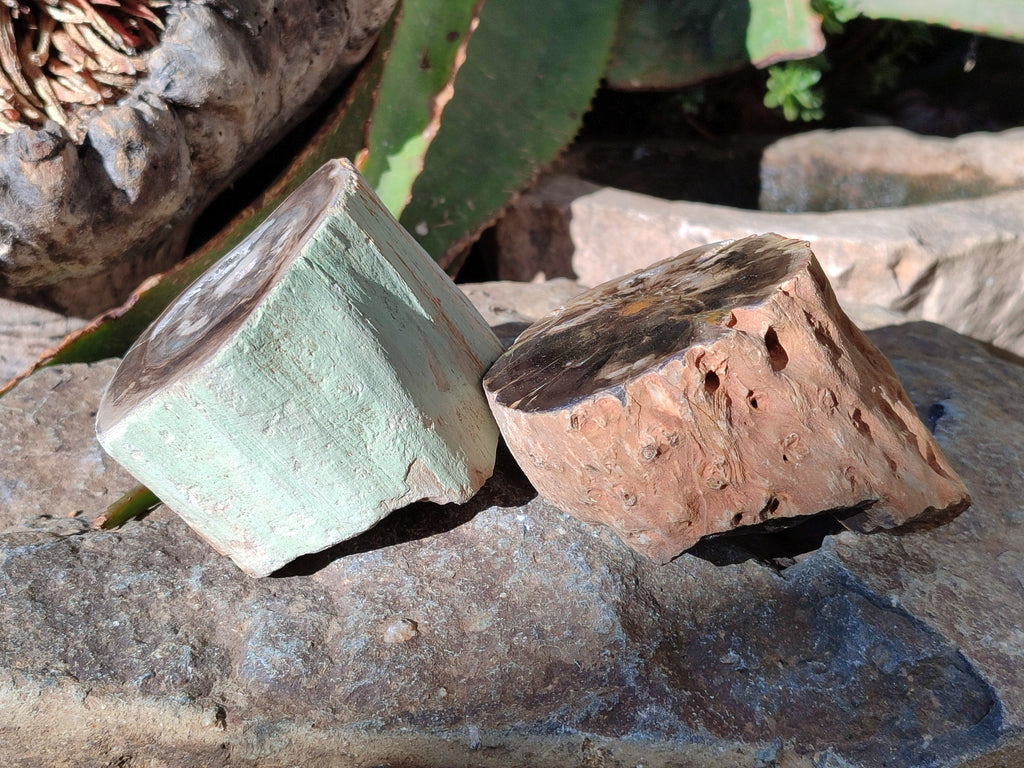 Polished Petrified Wood Branches x 4 From Gokwe, Zimbabwe - Toprock Gemstones and Minerals 