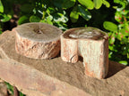 Polished Petrified Wood Branches x 4 From Gokwe, Zimbabwe - Toprock Gemstones and Minerals 