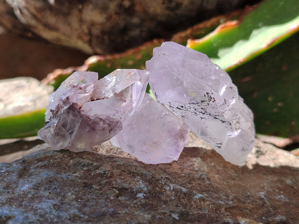 Natural Mixed Single Crystals x 1.74 Kg Lot From Southern Africa - Toprock Gemstones and Minerals 