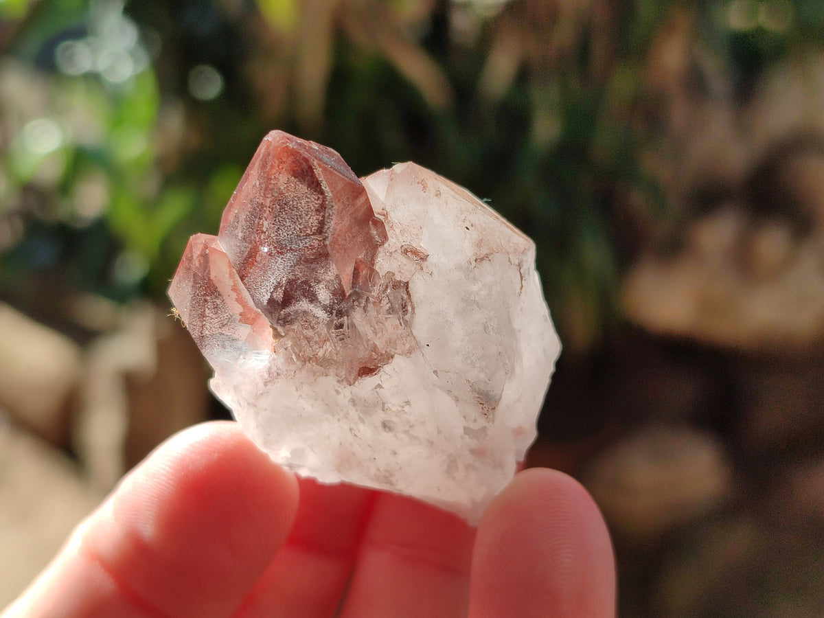 Natural Mixed Single Crystals x 1.74 Kg Lot From Southern Africa - Toprock Gemstones and Minerals 