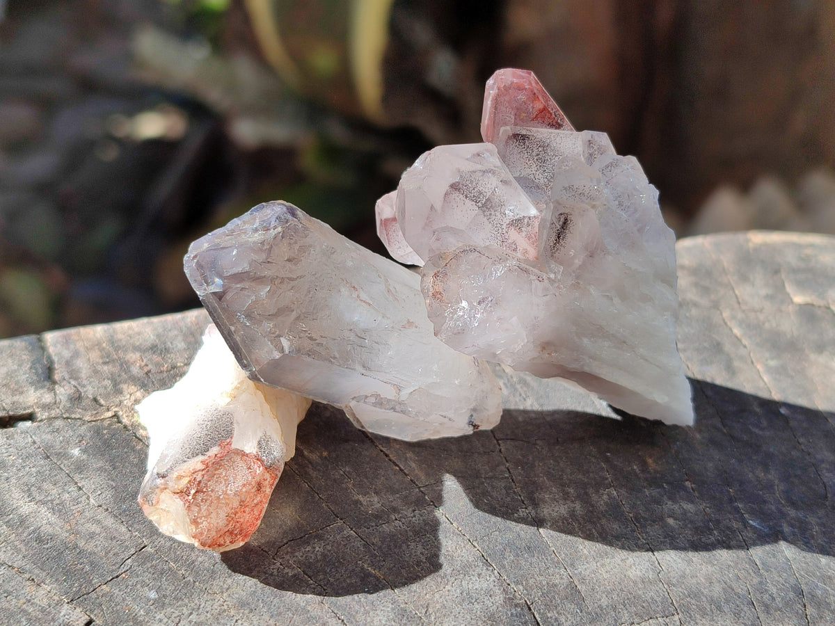 Natural Mixed Single Crystals x 1.74 Kg Lot From Southern Africa - Toprock Gemstones and Minerals 