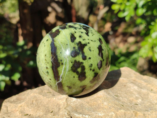 Polished Leopard Stone Spheres x 3 From Nyanga, Zimbabwe