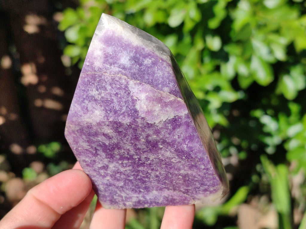 Polished Mix Of Selected Retail Items x 6 From Madagascar - Toprock Gemstones and Minerals 