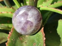 Polished Mix Of Selected Retail Items x 6 From Madagascar - Toprock Gemstones and Minerals 