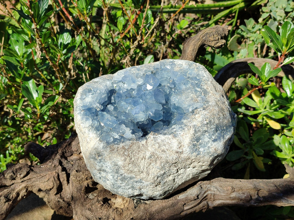 Natural Extra Large Celestite Geode Specimen x 1 From Sakoany, Madagascar - Toprock Gemstones and Minerals 