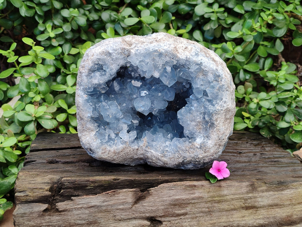 Natural Extra Large Celestite Geode Specimen x 1 From Sakoany, Madagascar - Toprock Gemstones and Minerals 
