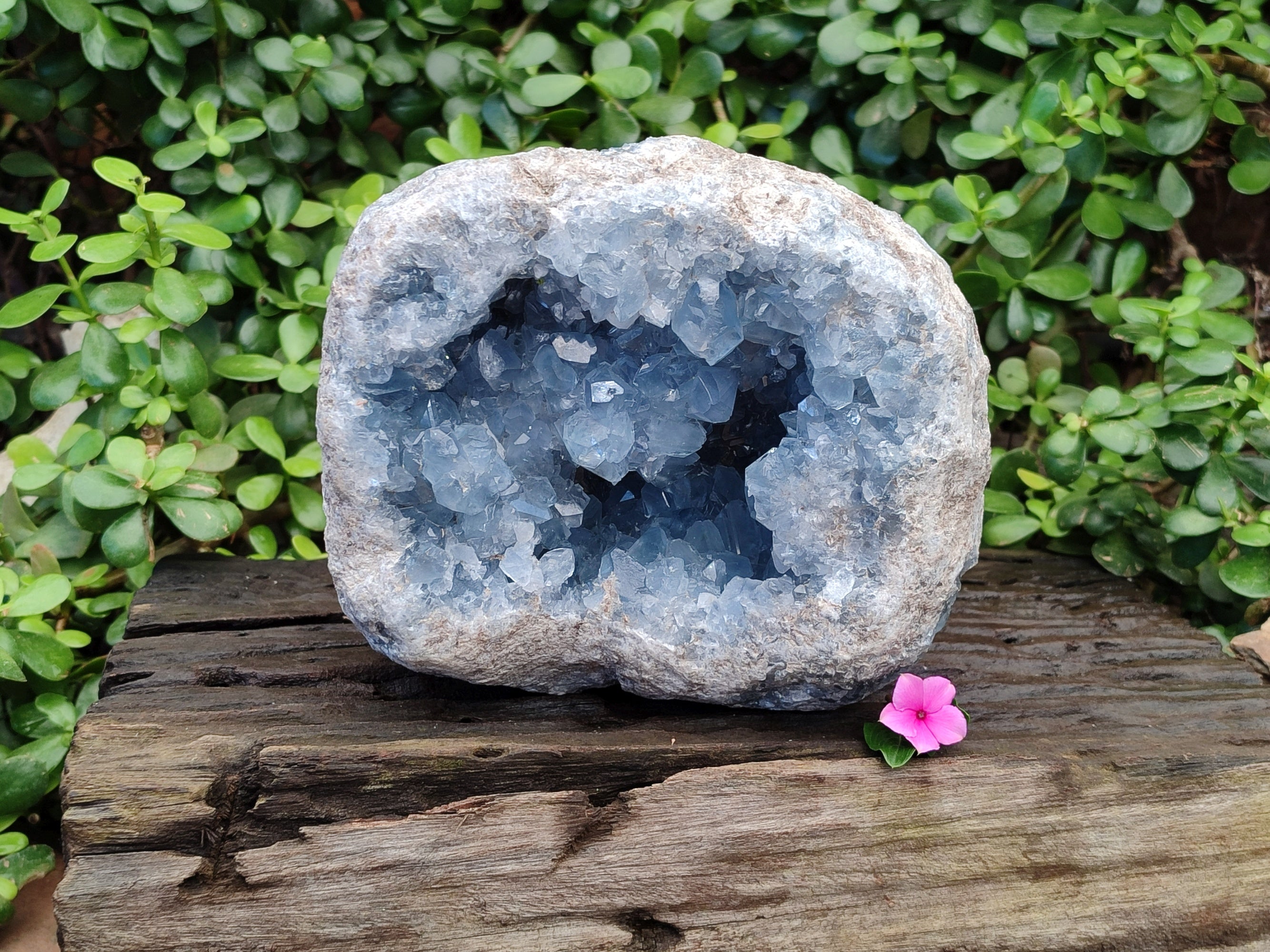Natural Extra Large Celestite Geode Specimen x 1 From Sakoany, Madagascar - Toprock Gemstones and Minerals 