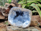 Natural Extra Large Celestite Geode Specimen x 1 From Sakoany, Madagascar - Toprock Gemstones and Minerals 
