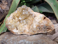 Natural Golden Limonite Quartz Clusters x 2 From Solwezi, Zambia - Toprock Gemstones and Minerals 