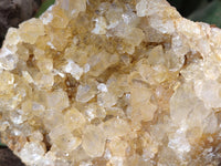 Natural Golden Limonite Quartz Clusters x 2 From Solwezi, Zambia - Toprock Gemstones and Minerals 
