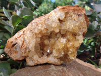 Natural Golden Limonite Quartz Clusters x 2 From Solwezi, Zambia - Toprock Gemstones and Minerals 