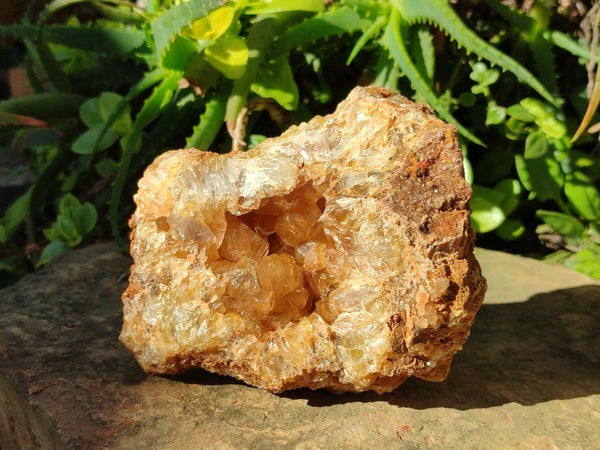 Natural Golden Limonite Quartz Clusters x 2 From Solwezi, Zambia